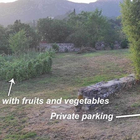 Villa Grecia เลียปาเดส ภายนอก รูปภาพ